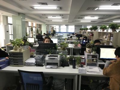 工商管理学院与安徽鑫怡财务公司洽谈校企合作 共促信息咨询服务发展